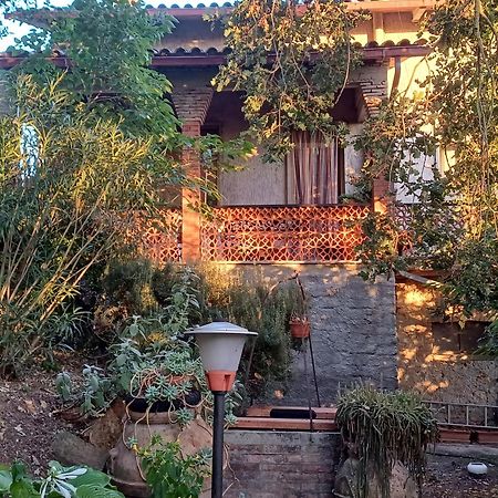 ルニャーノ・イン・テヴェリーナ La Casa Di Liliヴィラ エクステリア 写真