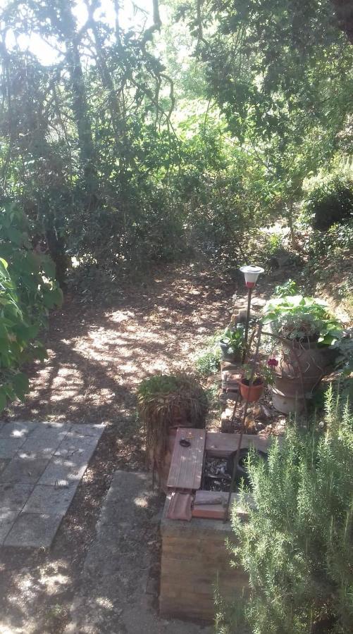 ルニャーノ・イン・テヴェリーナ La Casa Di Liliヴィラ エクステリア 写真