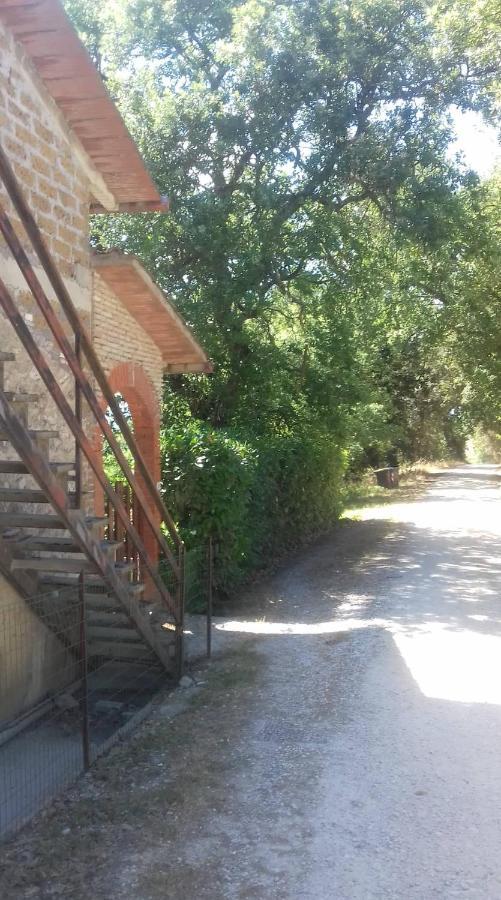 ルニャーノ・イン・テヴェリーナ La Casa Di Liliヴィラ エクステリア 写真